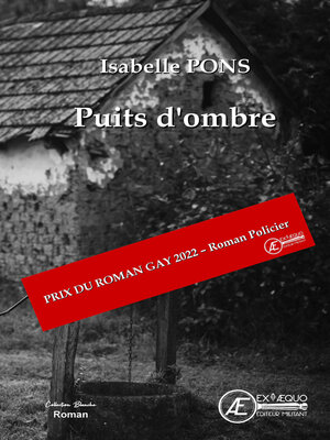 cover image of Puits d'ombre
